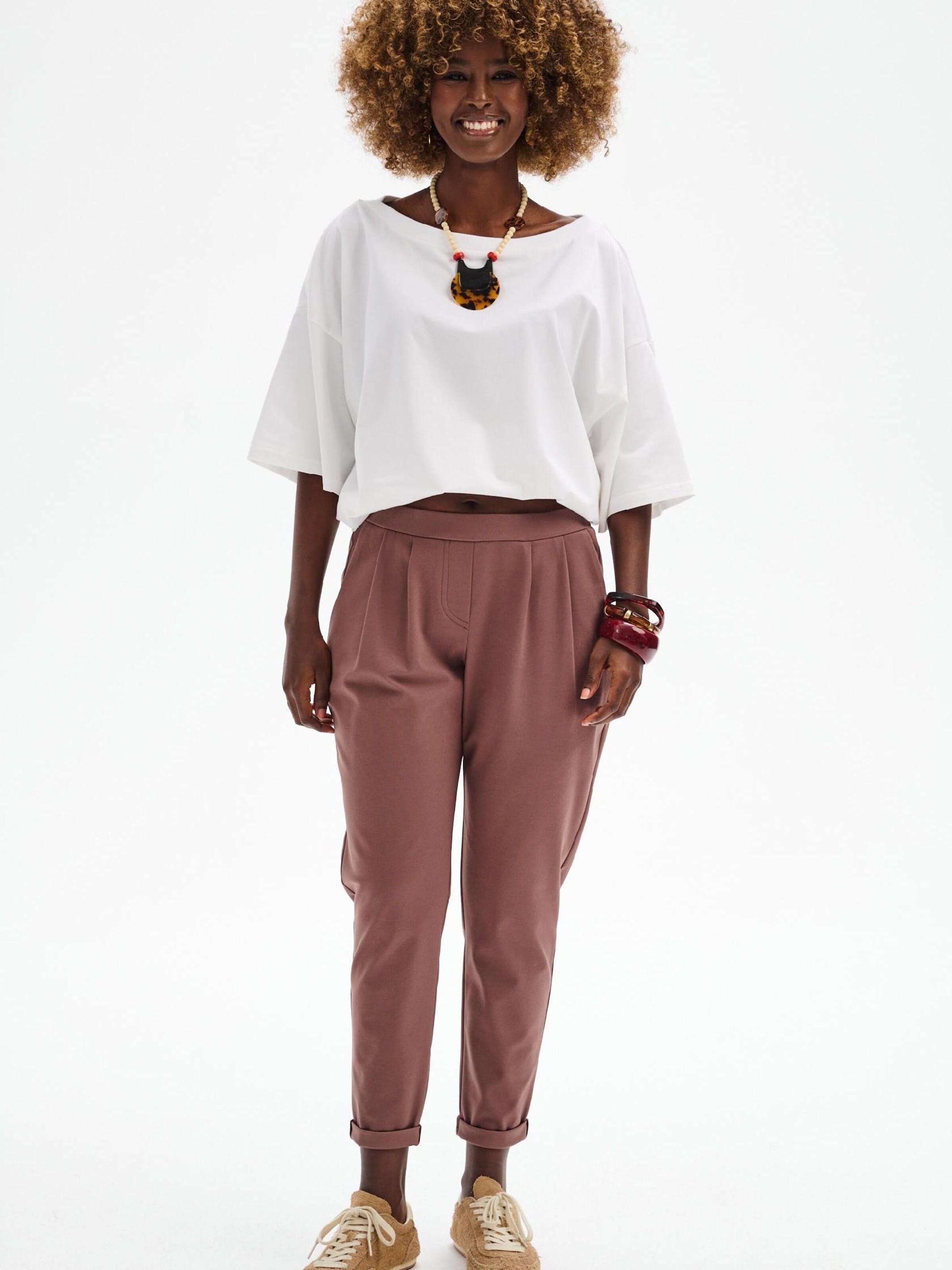 Blue Shadow Regular Pants 'Polo' in Brown: front