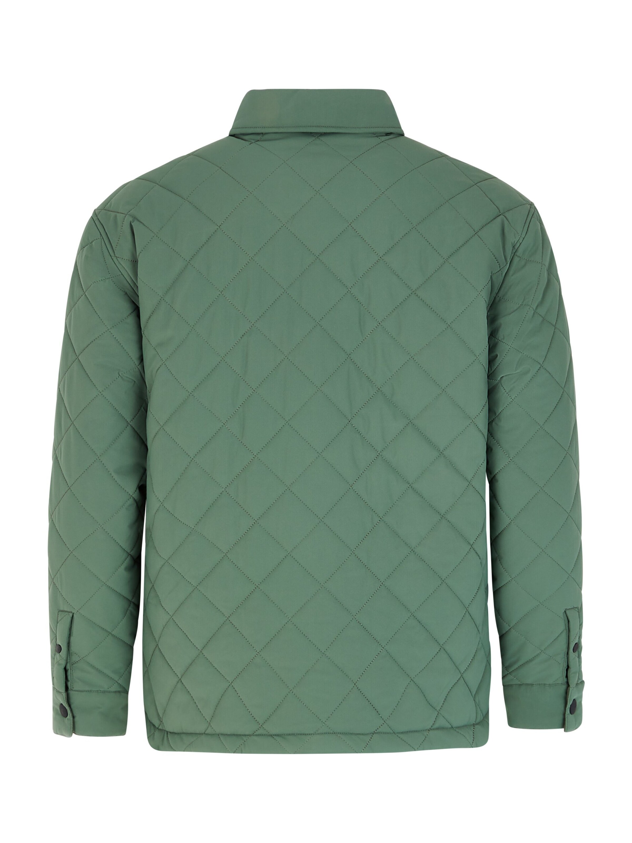 PROTEST Winterjacke 'PRTDRYDEN'‌‌‌‌‌ in Grün