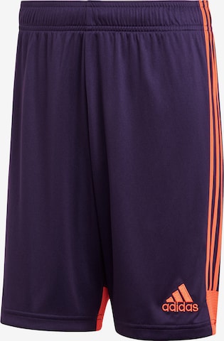 ADIDAS PERFORMANCE Shorts 'Tastigo' in Lila: predná strana