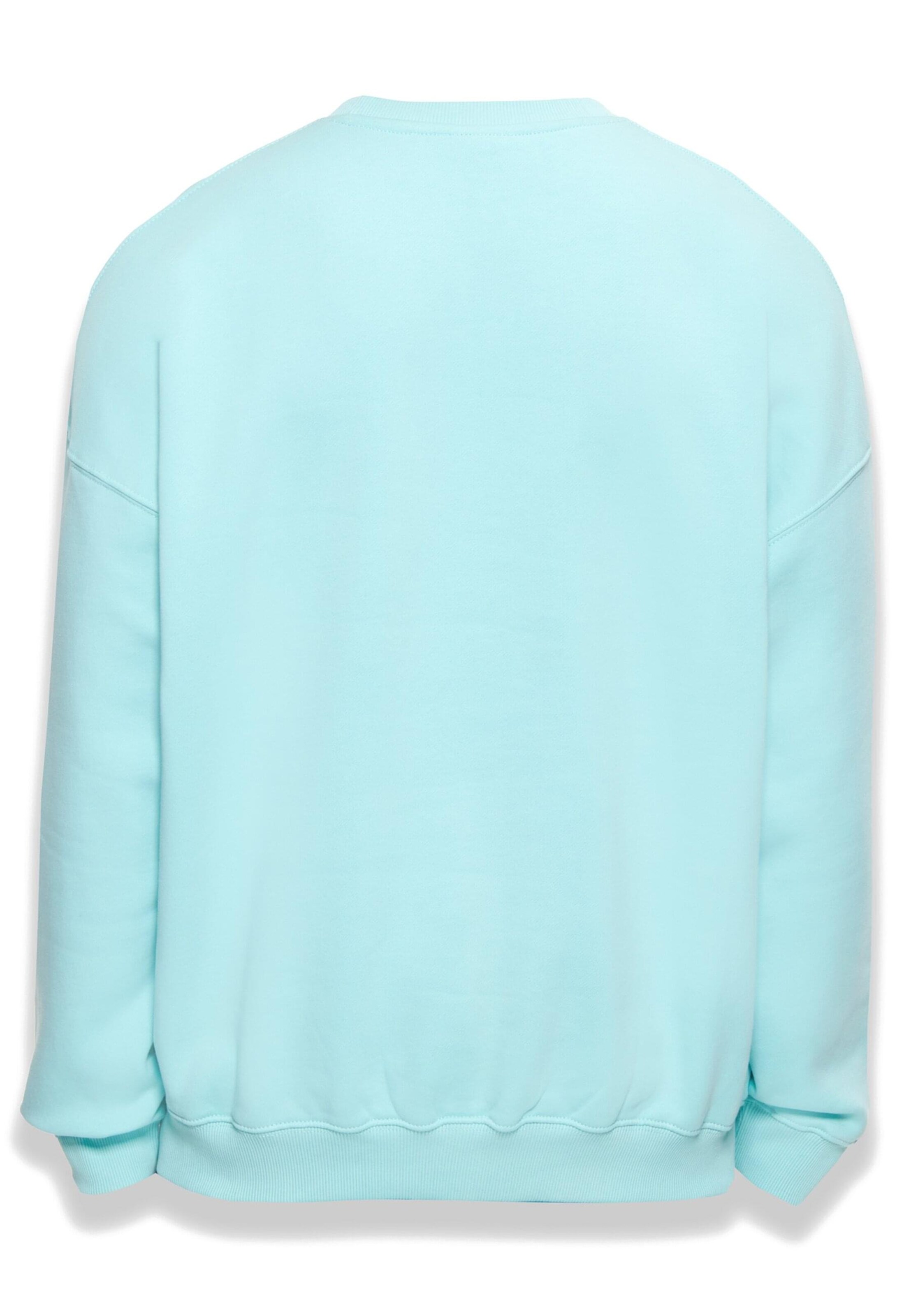 Dropsize Sweatshirt 'Bazix Republiq' i blå