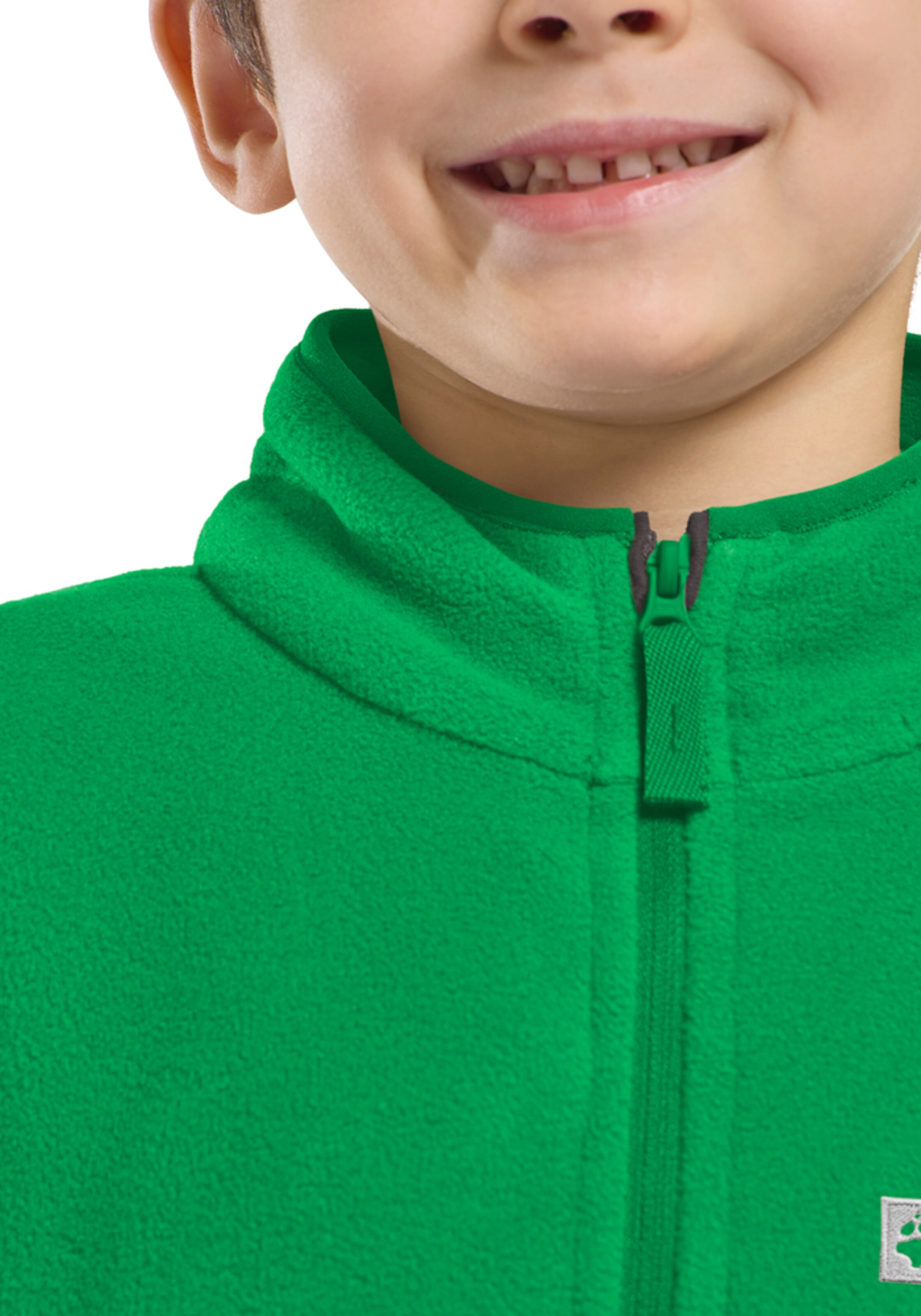 JACK WOLFSKIN Athletic Fleece Jacket 'Taunus' in Green