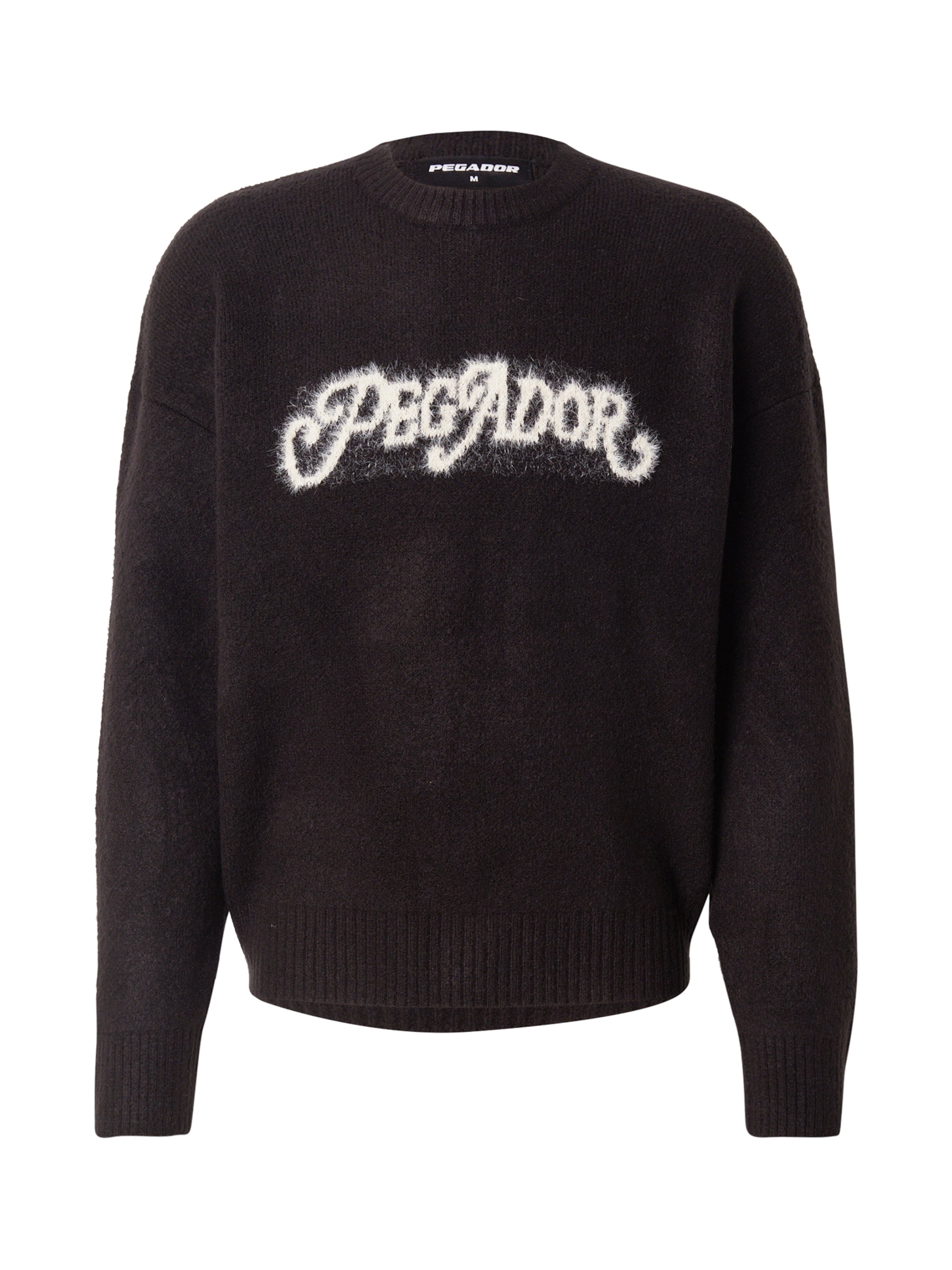 Pegador Πουλόβερ 'Nepole' σε μαύρο: μπροστά