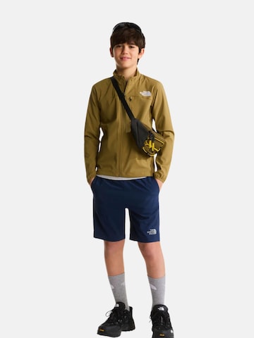 THE NORTH FACE Normalny krój Spodnie outdoor '24/7' w kolorze niebieski