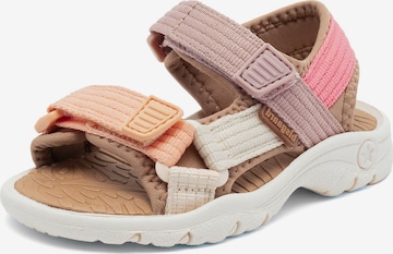 Sandales 'Nico' BISGAARD en rose : devant