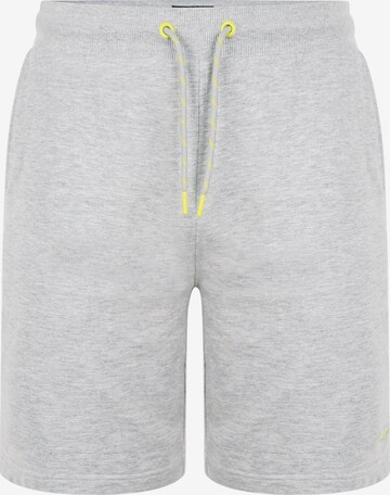 Threadbare Regular Trousers 'Bergamot' in Grey: front