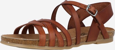 COSMOS COMFORT Remienkové sandále - hnedá, Produkt