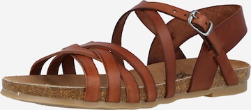 COSMOS COMFORT Strap Sandals in Brown: front