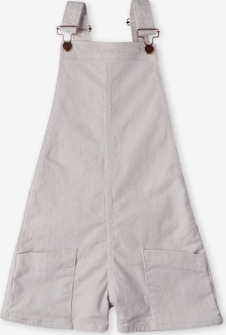 O'NEILL Dungarees 'Dungaree' in Purple: front