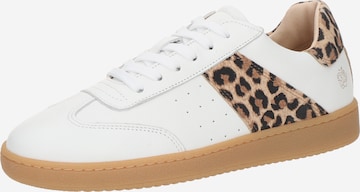 Baskets basses 'SAPHIR' Apple of Eden en blanc : devant