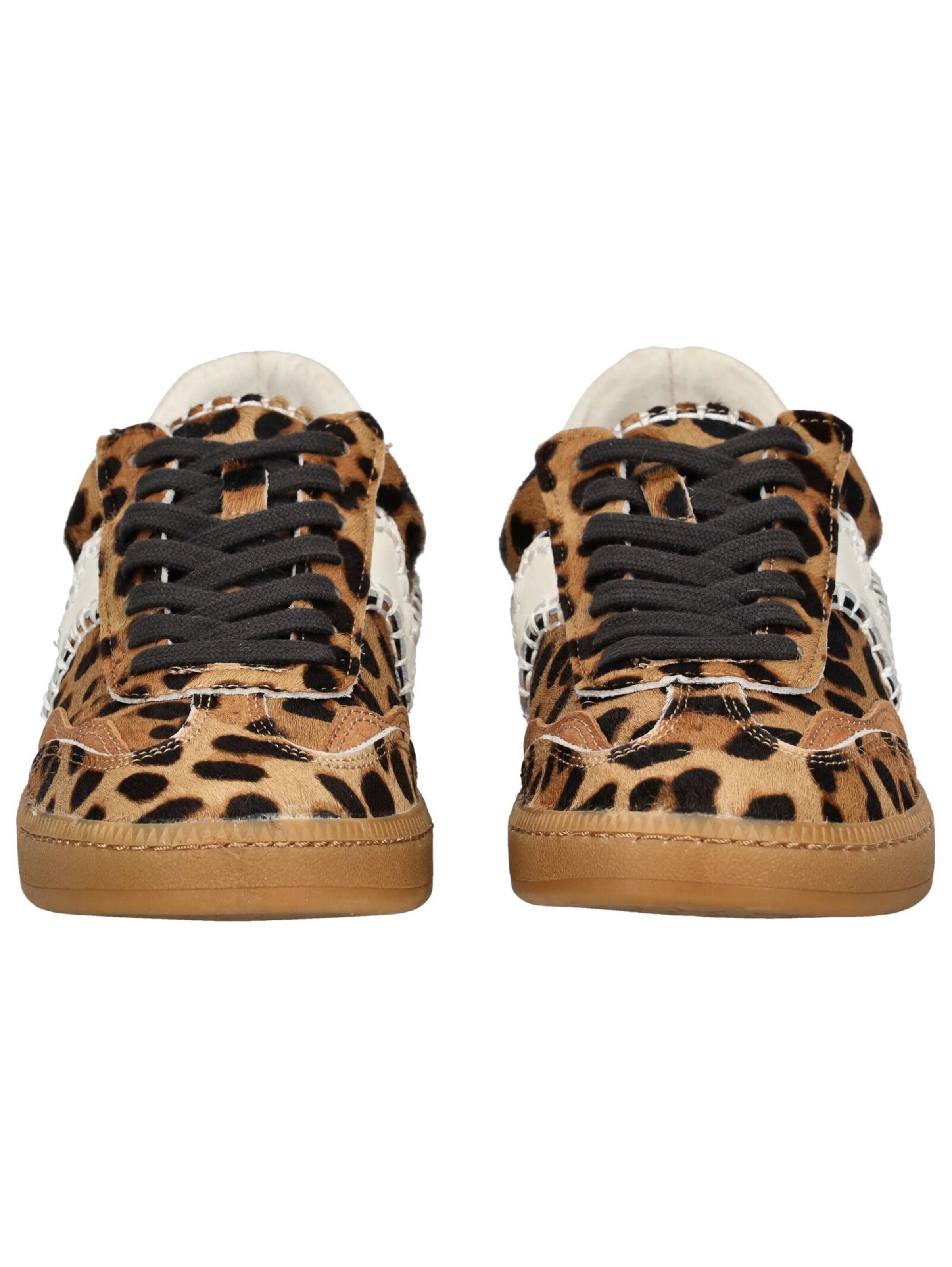 Baskets basses Dolce Vita en marron