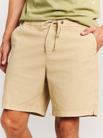 PROTEST Regular Hose 'PRTNivel' in Braun