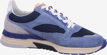 Floris van Bommel Sneakers in Blue