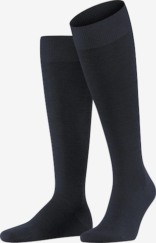 FALKE Kniestrümpfe 'Energizing Wool' in Blau: Vorderseite