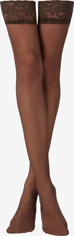 CALZEDONIA Hold-up stockings in Brown: front