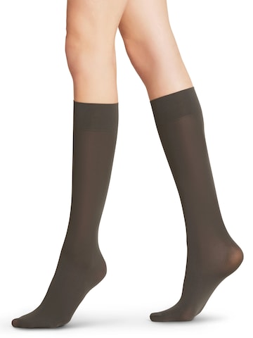 FALKE Over the Knee Socks 'Pure Matt' in Grey: front