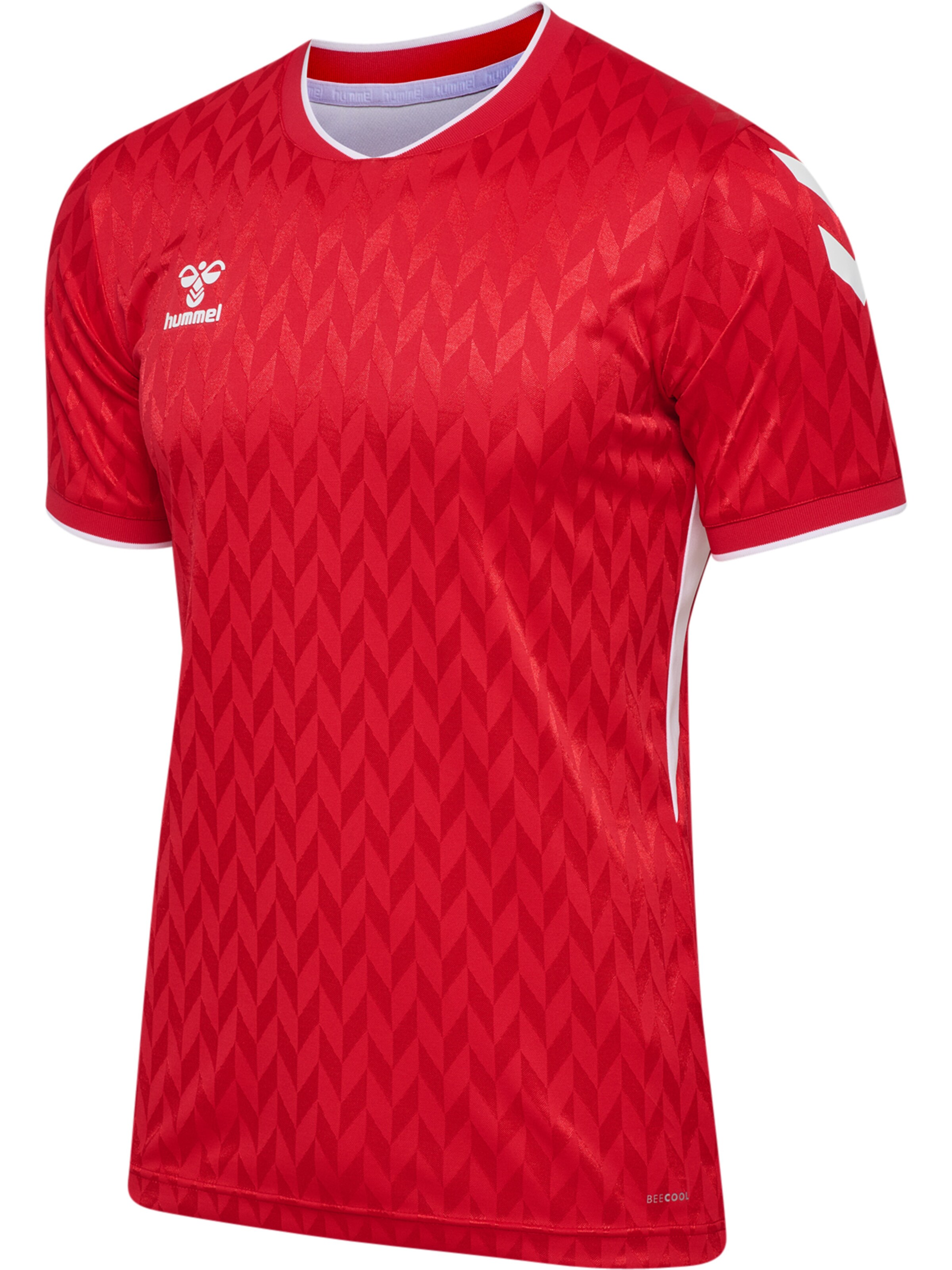 Hummel Functioneel shirt 'Match Legend' in Rood