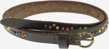 NAPAPIJRI Belt in One size in Brown: front