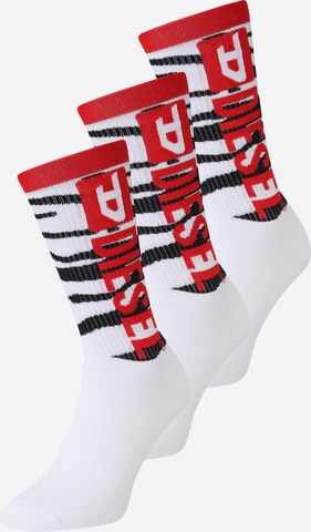 DIESEL - Calcetines en blanco: frente