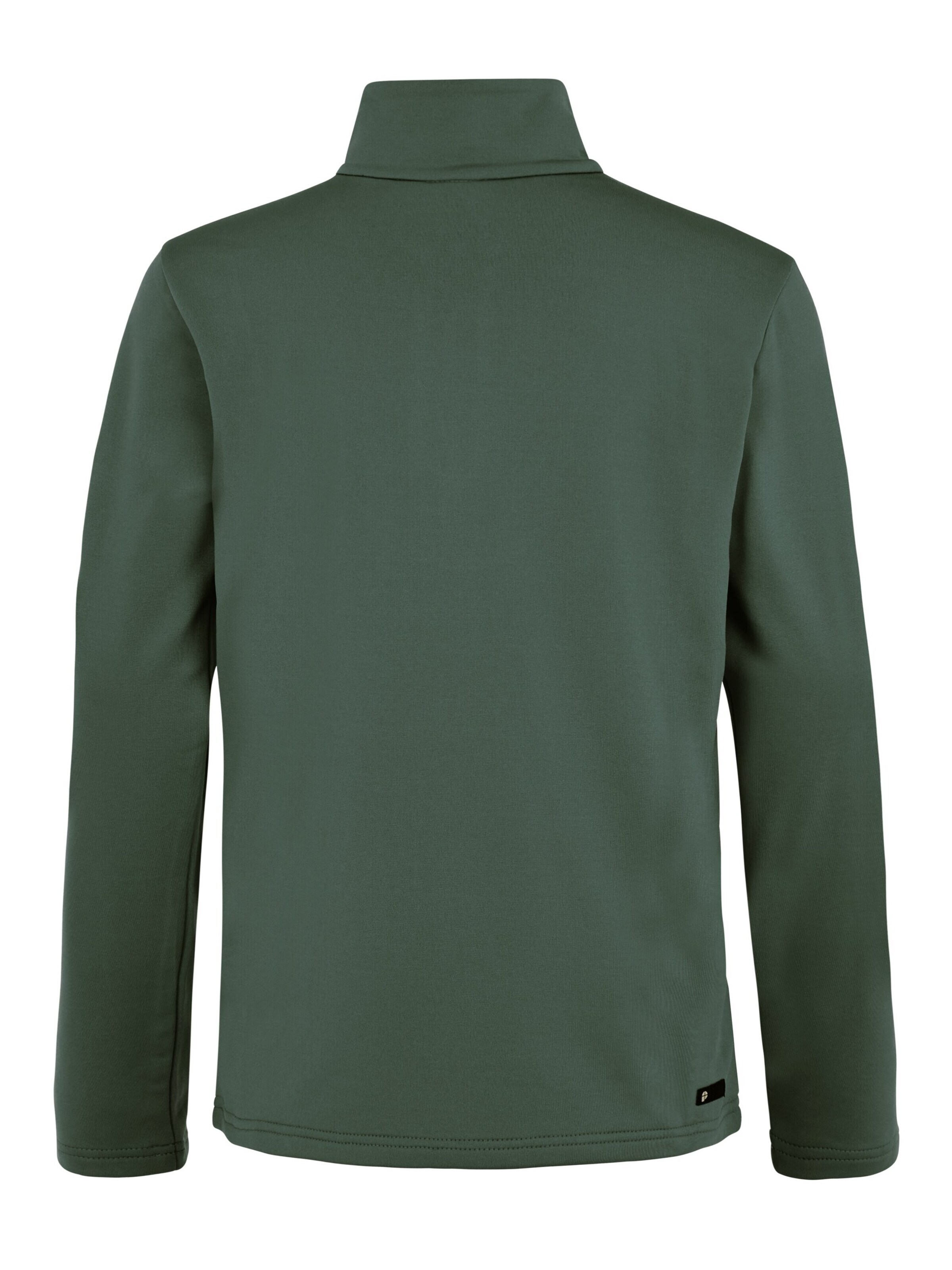 PROTEST Athletic Sweatshirt 'REWILLOWY JR' in Green