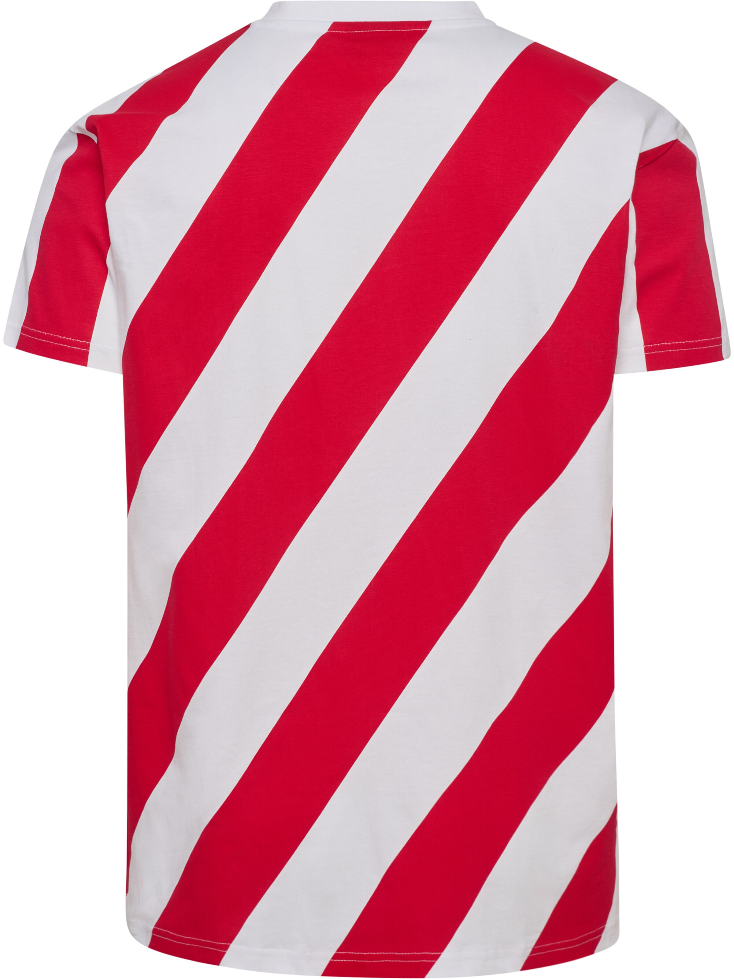 Hummel Functioneel shirt 'DBU 26 Fan Dynamite' in Wit