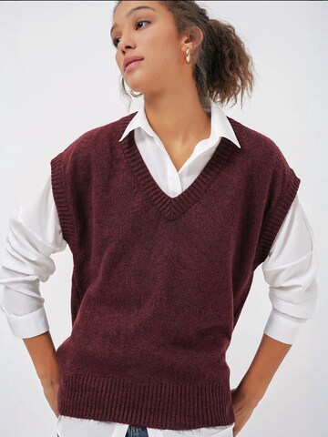 Bigdart Bodywarmer in Rood