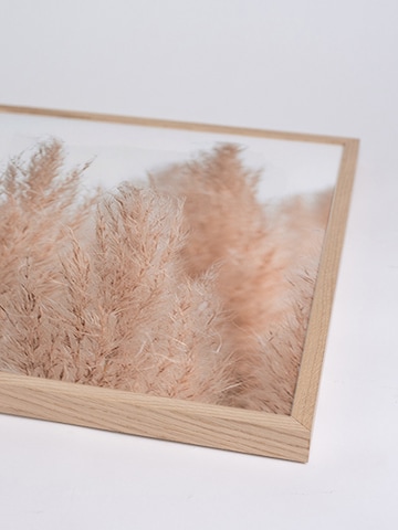 Liv Corday Image 'Pampas Grass in Neutral Colours' in Brown