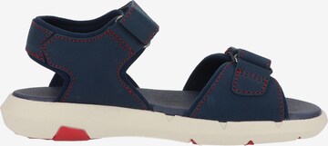 Chaussures ouvertes Kickers en bleu