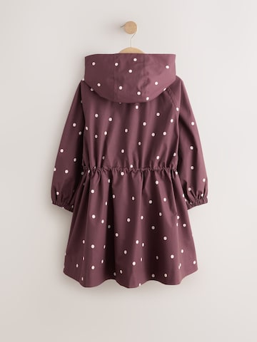 Cappotto di Next in marrone