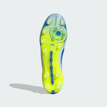 ADIDAS PERFORMANCE Fußballschuh 'Predator Elite' in Blau