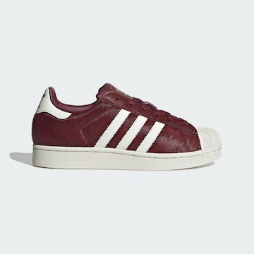 ADIDAS ORIGINALS Sneaker 'Superstar II' in Rot