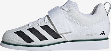 ADIDAS PERFORMANCE - Calzado deportivo 'Powerlift 5' en blanco: frente