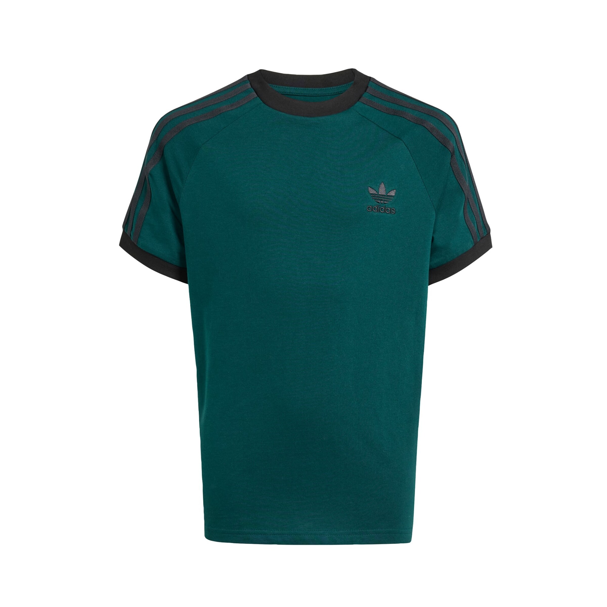 ADIDAS ORIGINALS Shirt 'Adicolor' in Green: front