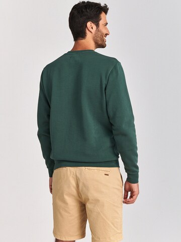 Shiwi Sweatshirt 'Cameleon' in Green