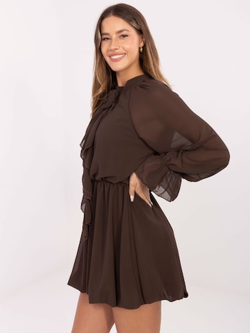 Madnezz House Kleid in Braun