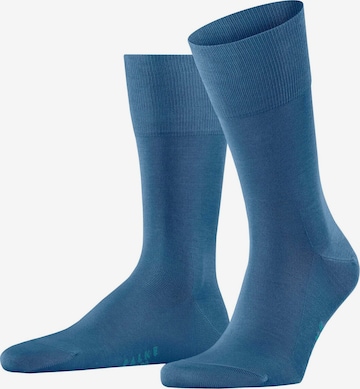 Calzino di FALKE in blu: frontale