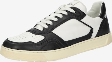 SIOUX Sneakers laag 'Tedroso-704' in Zwart: voorkant