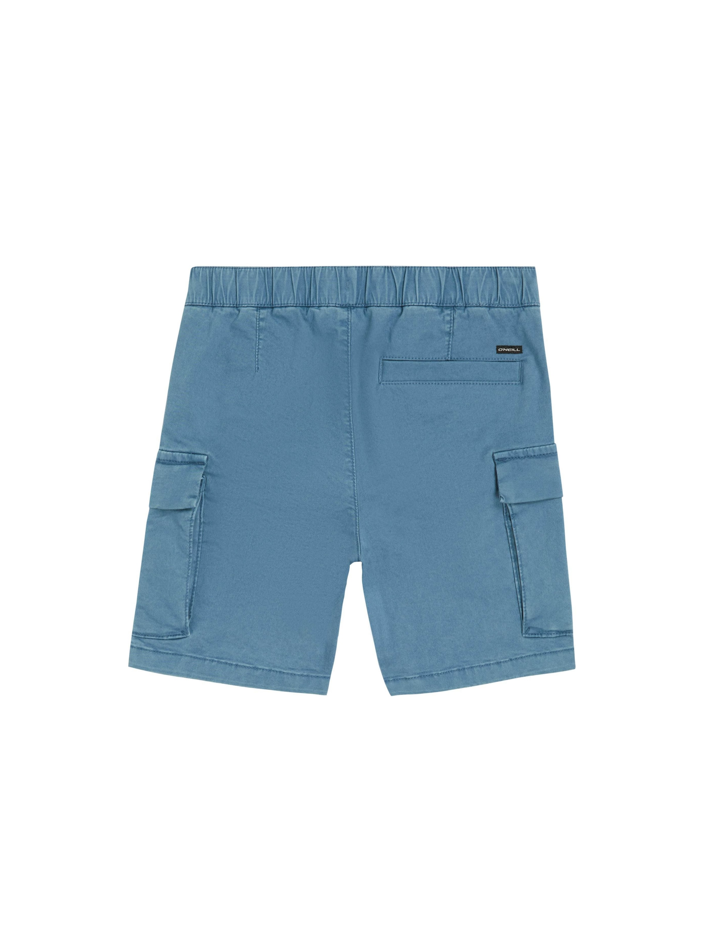 O'NEILL Обычный Штаны в Синий