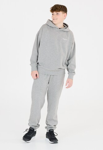 Les'Arcs Loose fit Pants 'Gilpin' in Grey