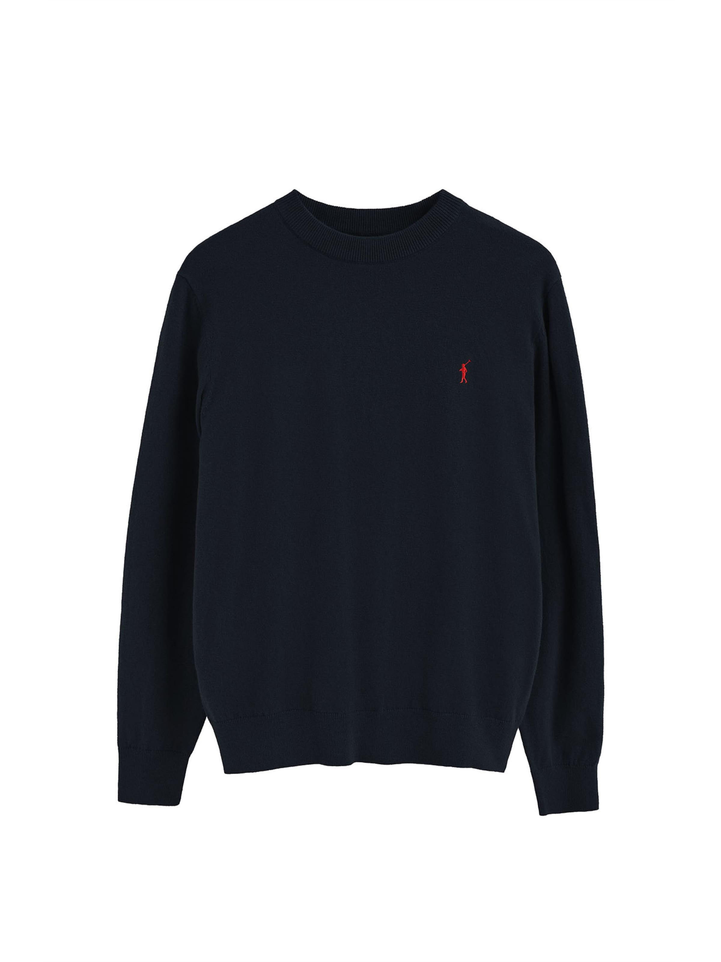 Polo Club Pullover in Blau