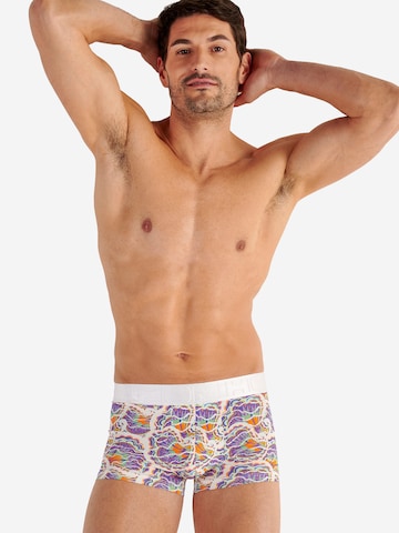 HOM Boxershorts ' Funky Styles ' in Lila: voorkant