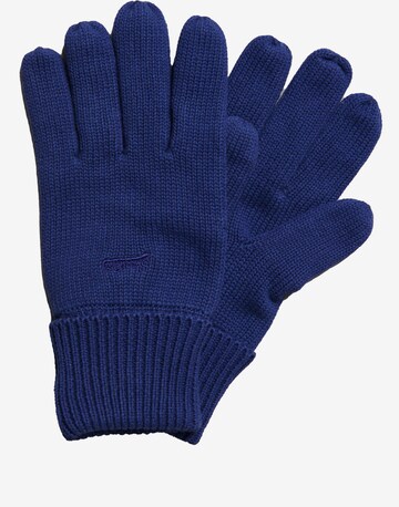 Superdry Full Finger Gloves in Blue: front