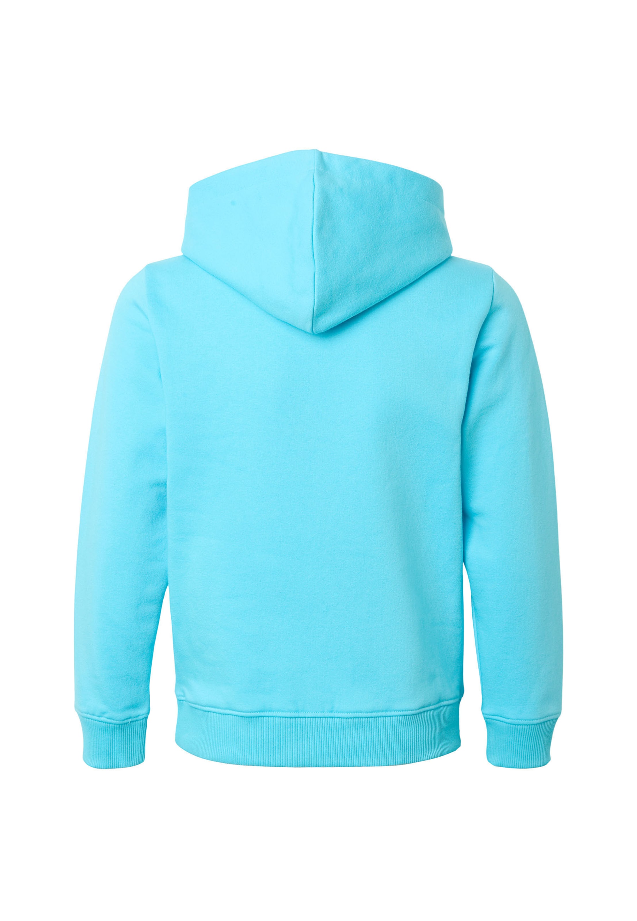 Felpa di Bruno Banani in blu