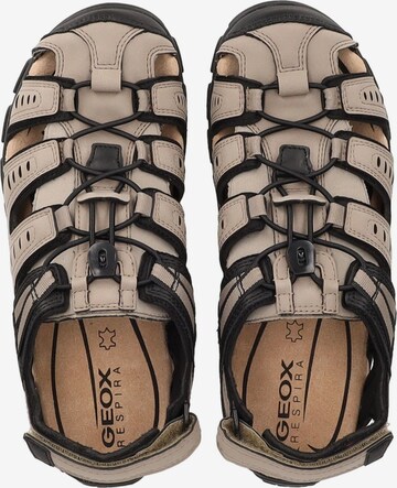 GEOX Sandals in Beige