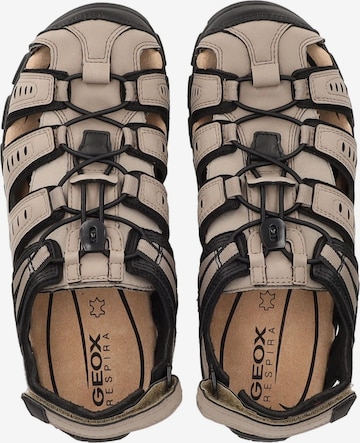 GEOX Sandalen in Beige