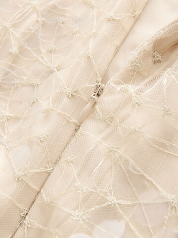 Next Kleid 'Rochelle' in Beige