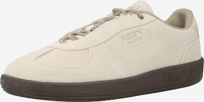 PUMA Matalavartiset tennarit 'Palermo Graftman' värissä offwhite, Tuotenäkymä