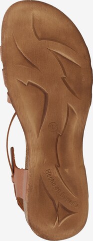 Kickers Strap Sandals in Brown