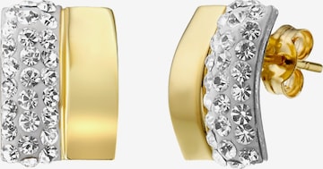 Boucles d'oreilles Lucardi en or : devant