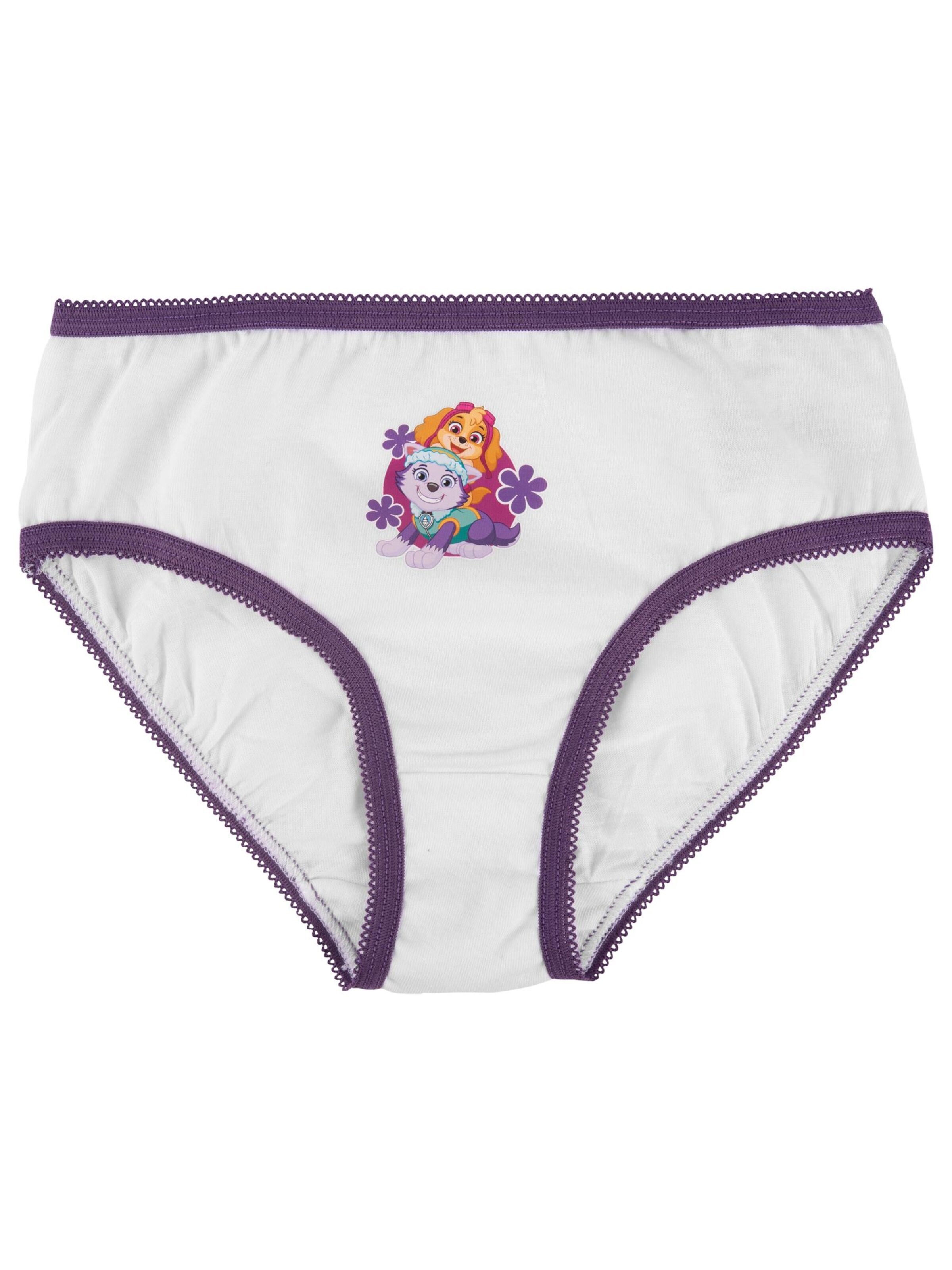 Paw Patrol Underpants in Pink