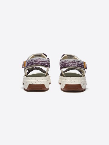 TIMBERLAND Strap sandal in Mixed colours